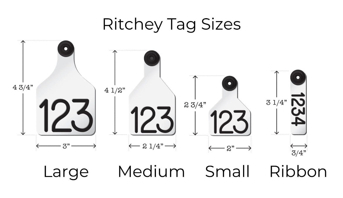 Large Custom laser engraved ear tag for livestock