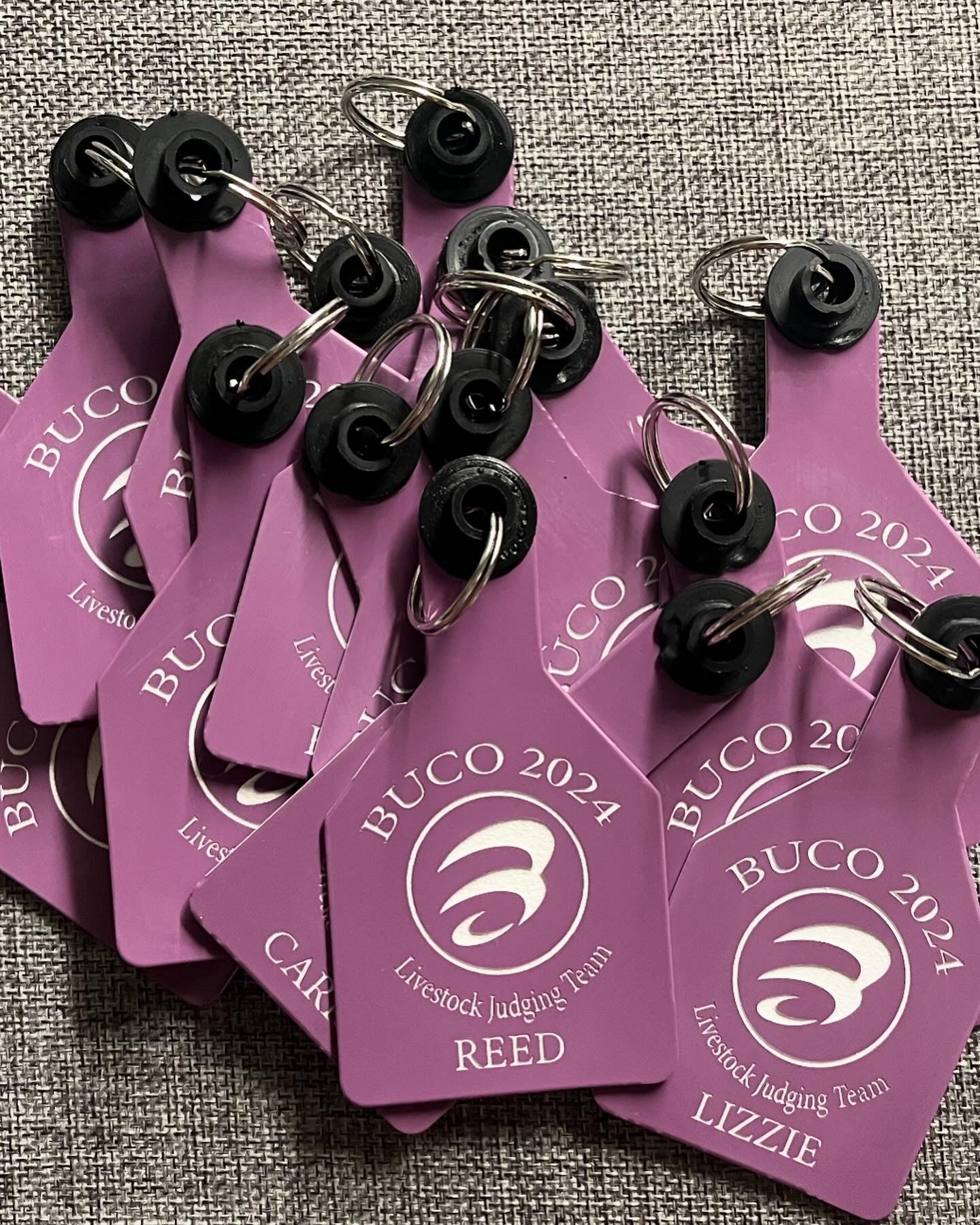 Medium Custom laser engraved ear tag for livestock
