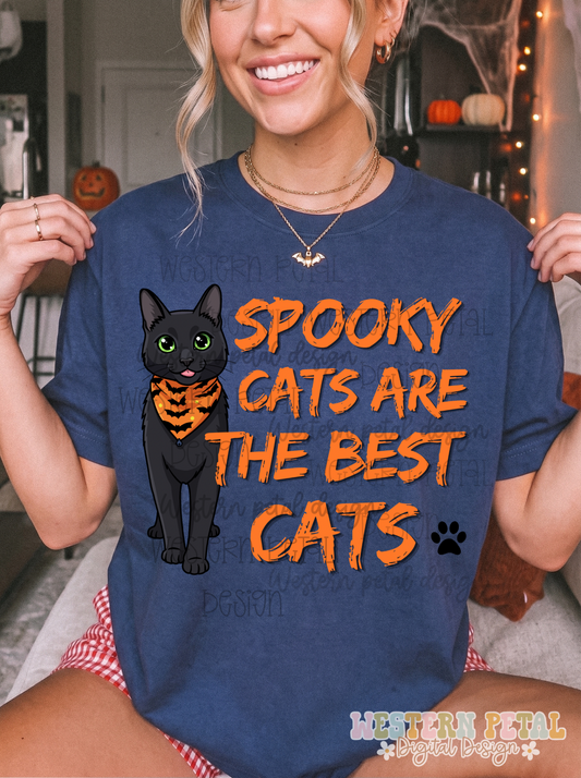 Spooky Cats Halloween PNG