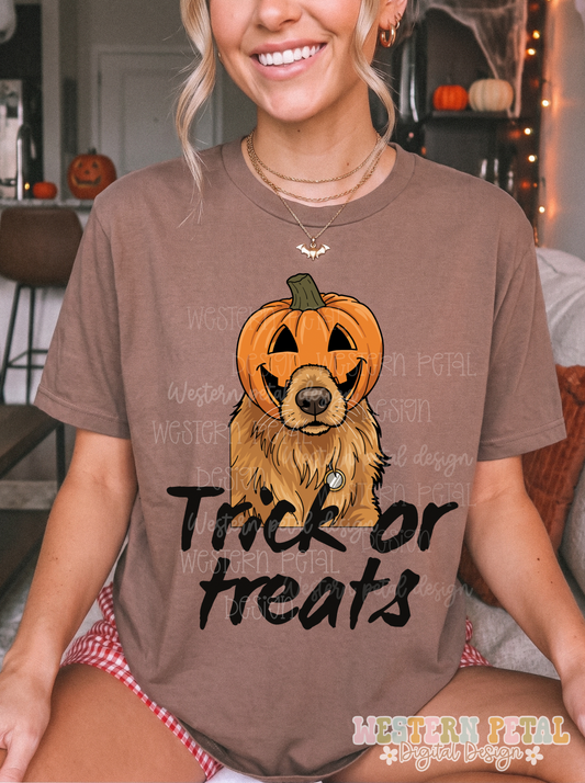 Trick or Treats Halloween PNG