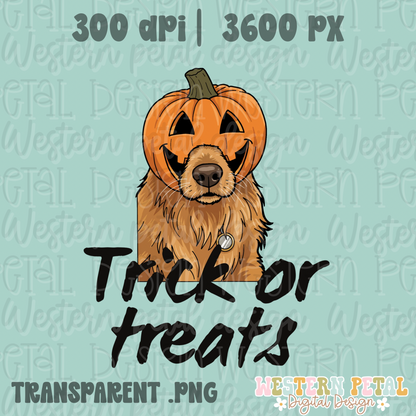 Trick or Treats Halloween PNG