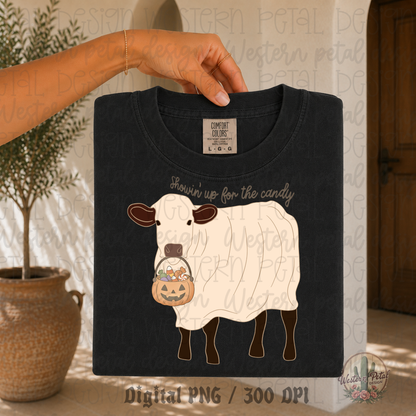 Trick or Treating Show Steer PNG