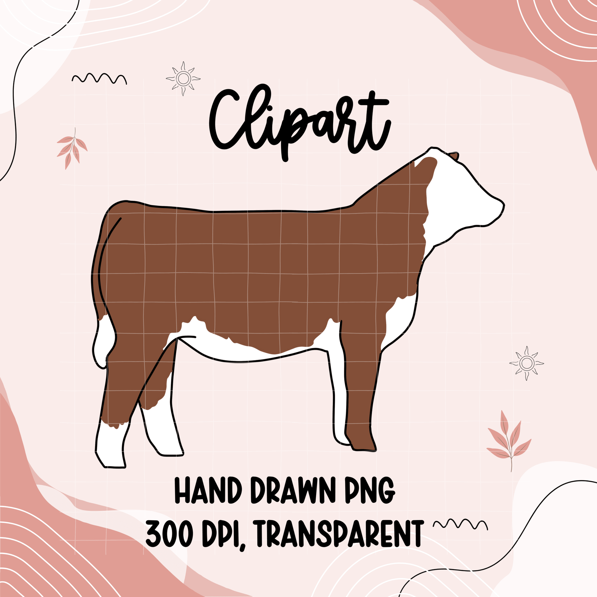 Hereford heifer clipart | Hand drawn - Western Petal Design