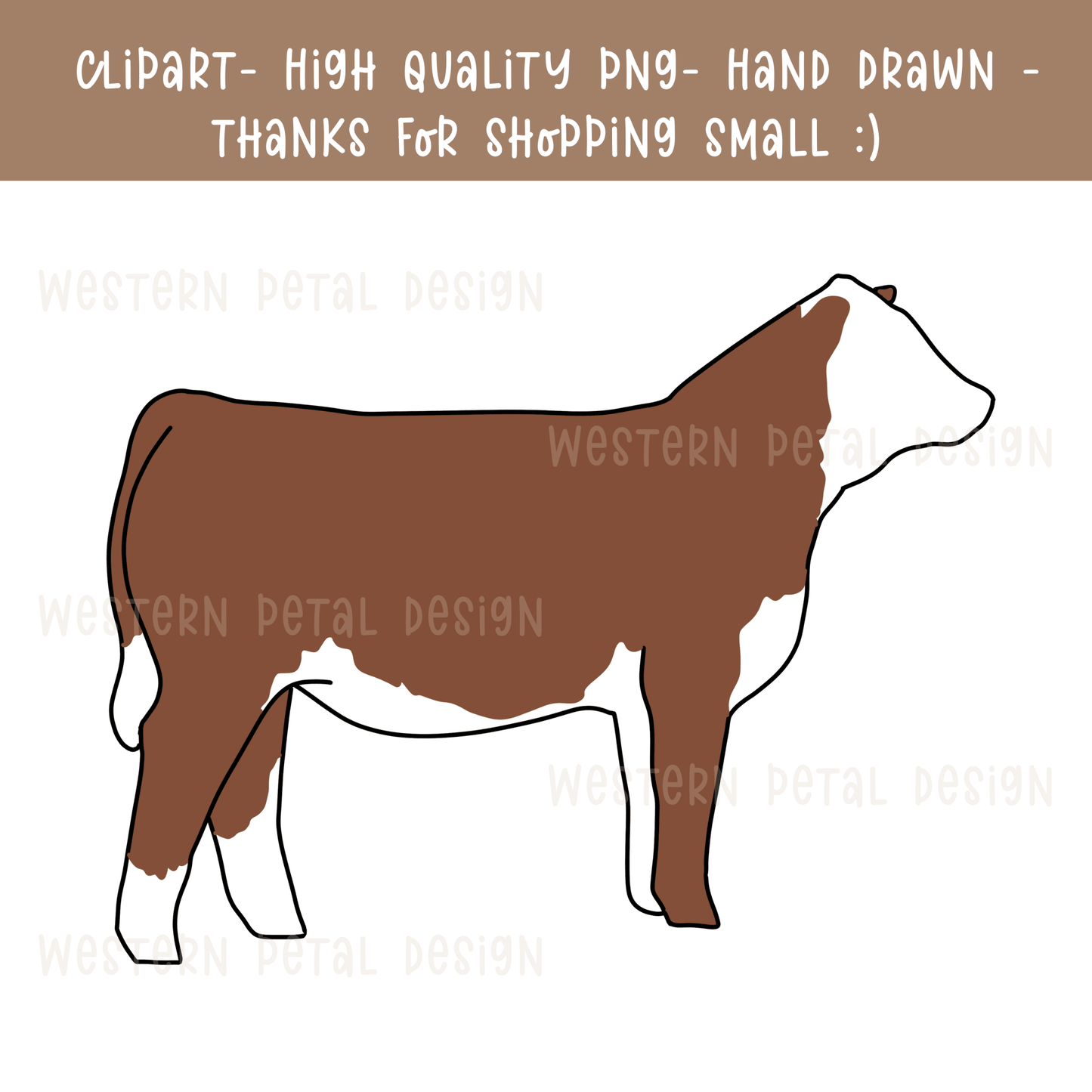 Hereford heifer clipart | Hand drawn - Western Petal Design