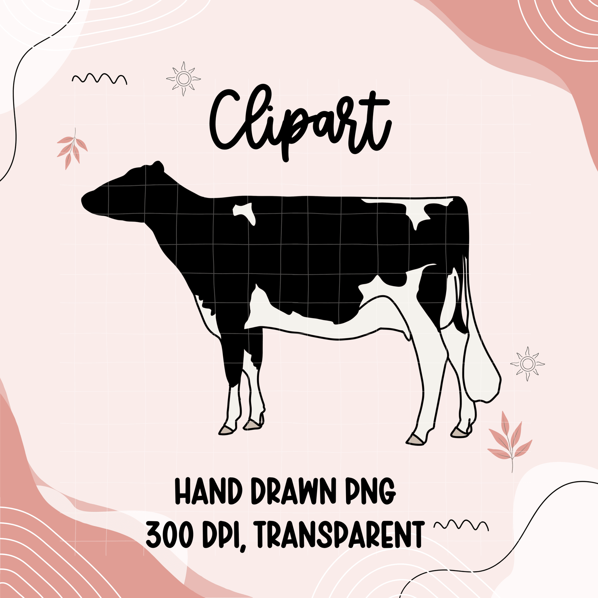 Holstein Show Cow clipart | Hand drawn - Western Petal Design