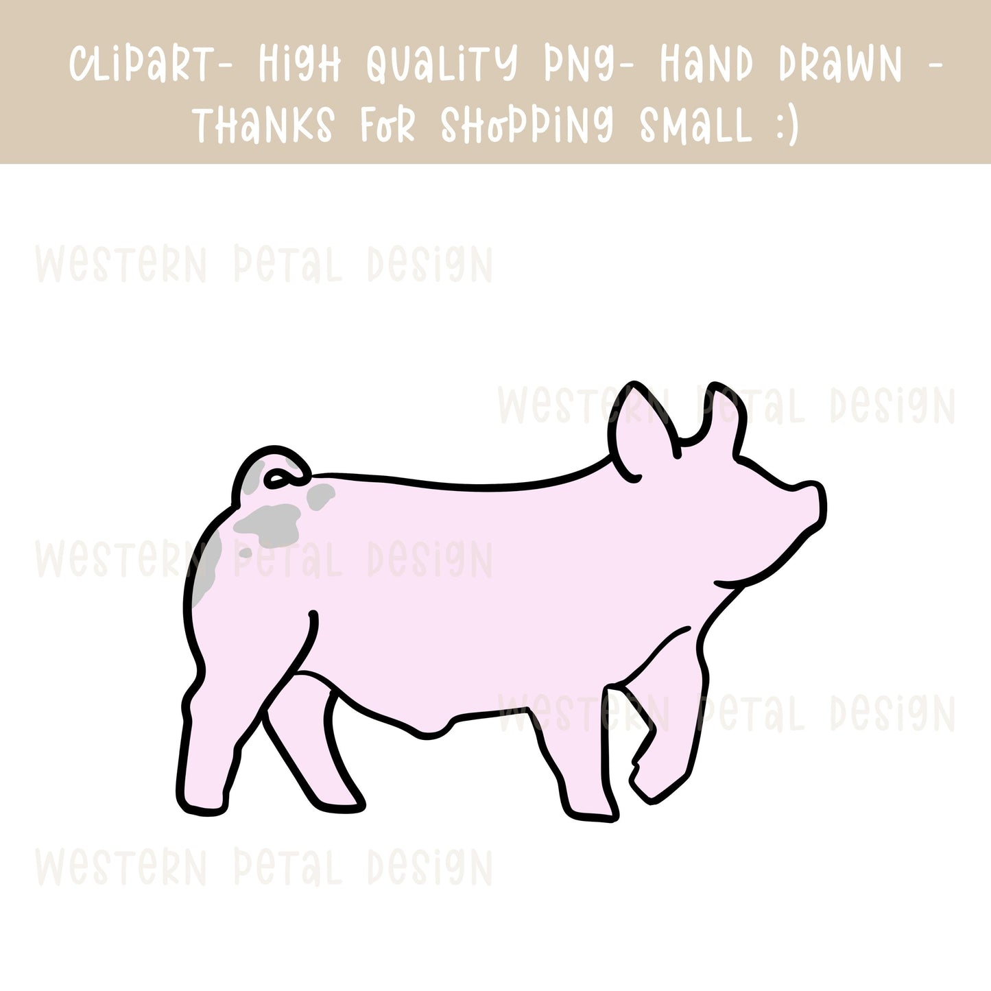 Hand Drawn Show Pig Clipart | 4H Livestock PNG (Digital Download)