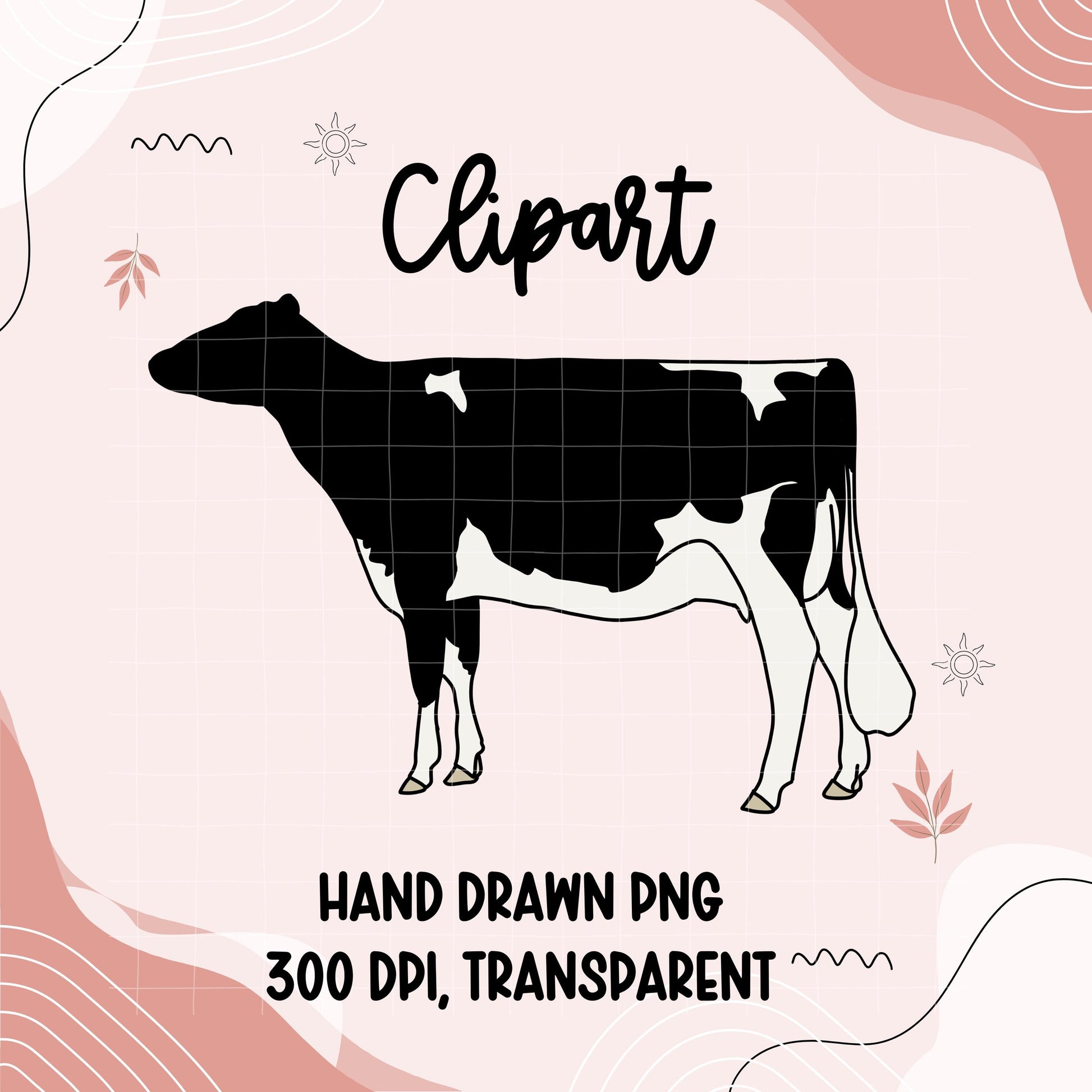 Holstein Show Cow Clipart | Hand Drawn PNG (Digital Download)