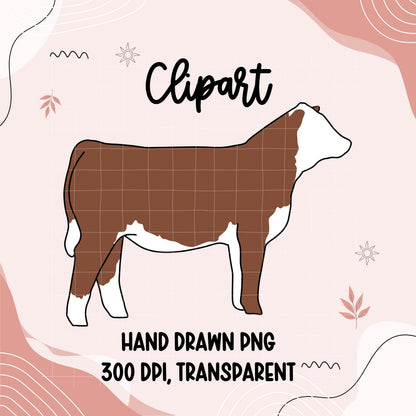 Hereford Heifer Clipart | Hand-Drawn 4H Show Cow PNG (Digital Download)