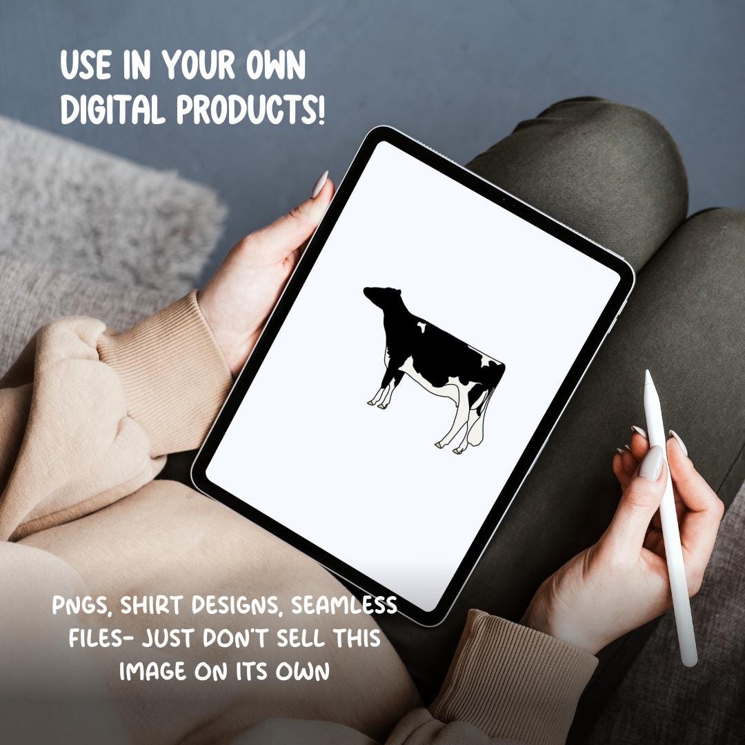Holstein Show Cow Clipart | Hand Drawn PNG (Digital Download)