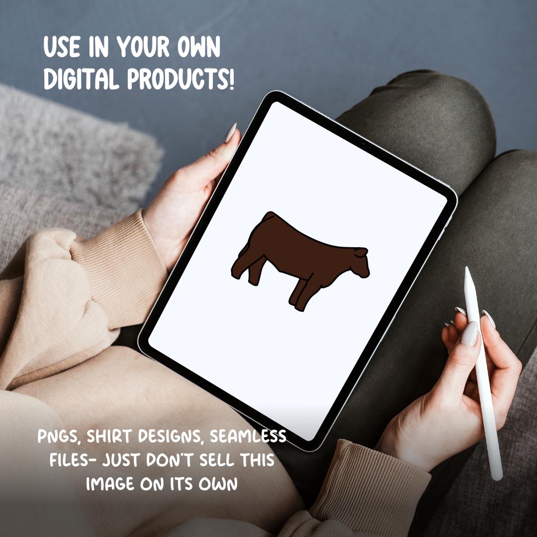 Show Cattle Clipart PNG | Hand Drawn Steer Illustration (Digital Download)