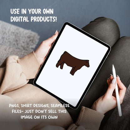 Show Cattle Clipart PNG | Hand Drawn Steer Illustration (Digital Download)