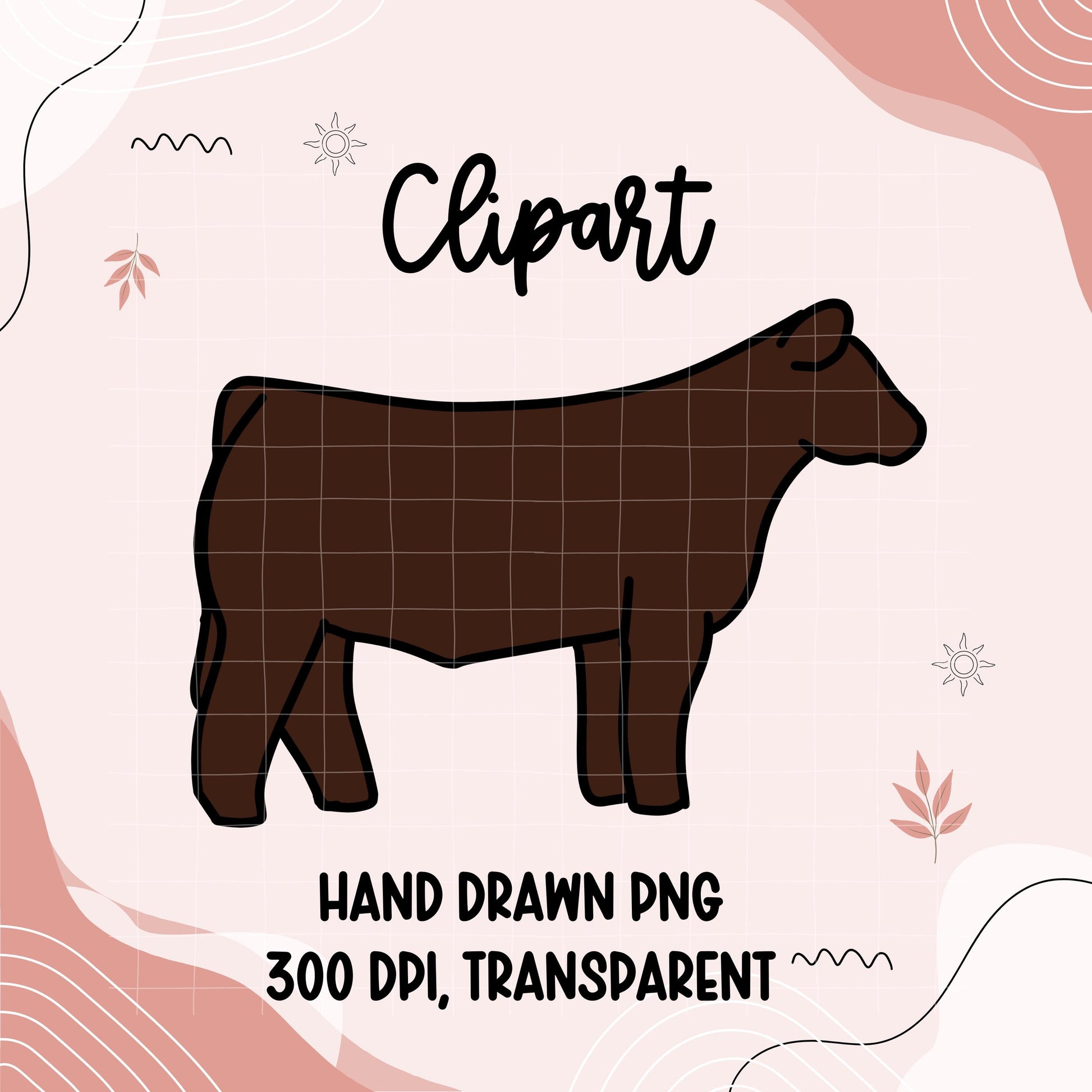 Show Cattle Clipart PNG | Hand Drawn Steer Illustration (Digital Download)