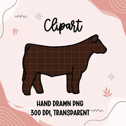 Show Cattle Clipart PNG | Hand Drawn Steer Illustration (Digital Download)