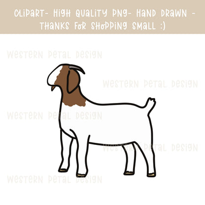 Show Goat Clipart | Hand Drawn 4H Livestock PNG (Digital Download)