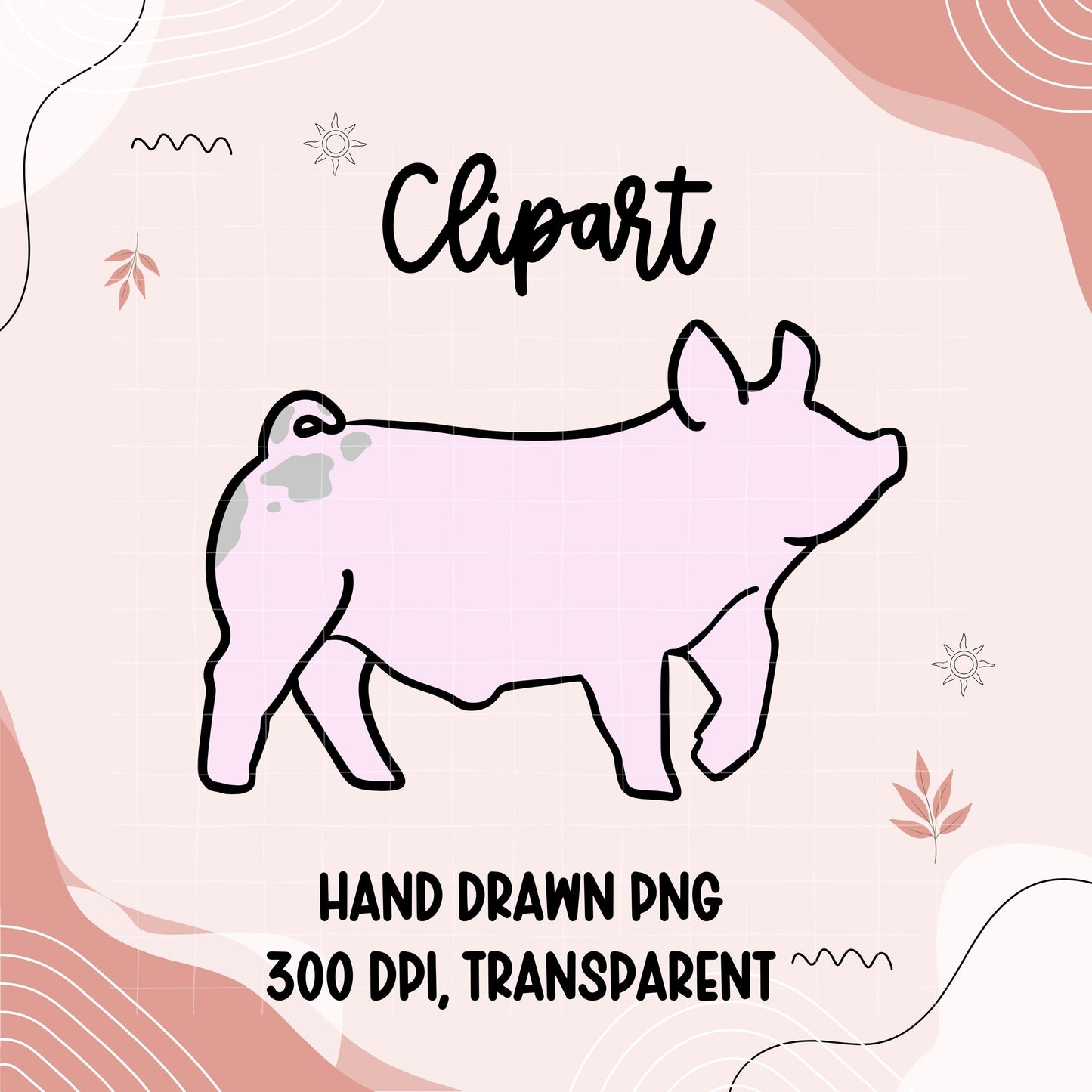 Hand Drawn Show Pig Clipart | 4H Livestock PNG (Digital Download)