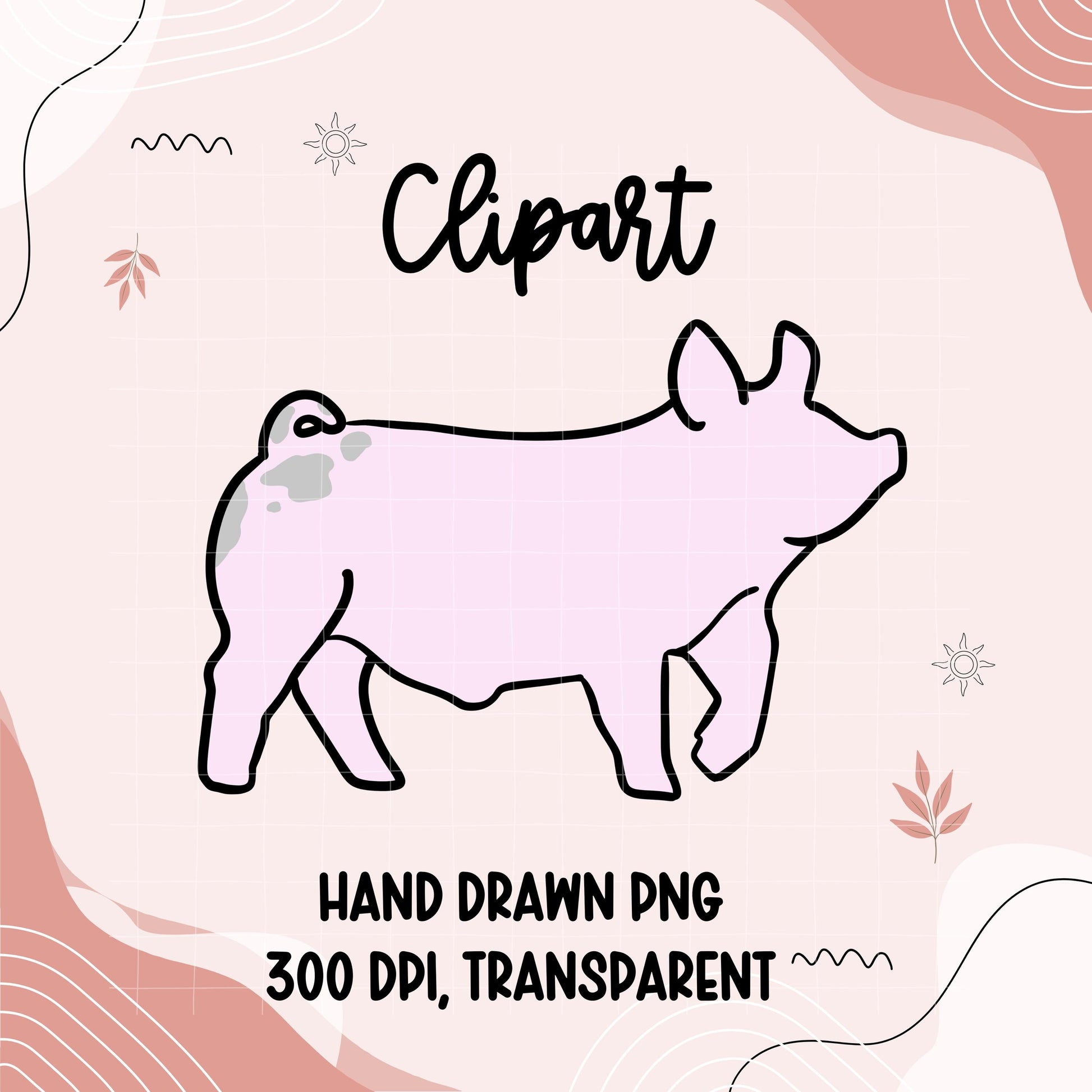 Hand Drawn Show Pig Clipart | 4H Livestock PNG (Digital Download)