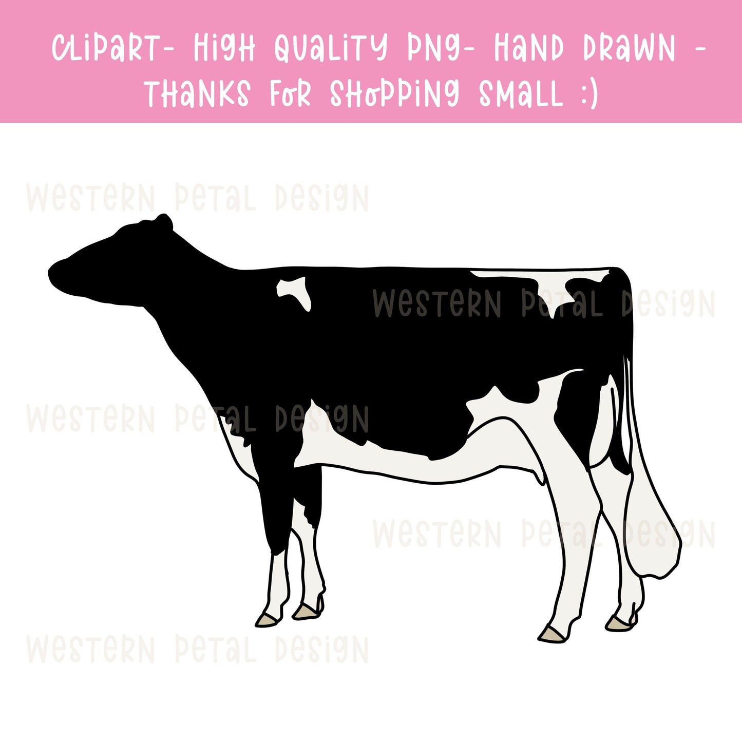 Holstein Show Cow Clipart | Hand Drawn PNG (Digital Download)