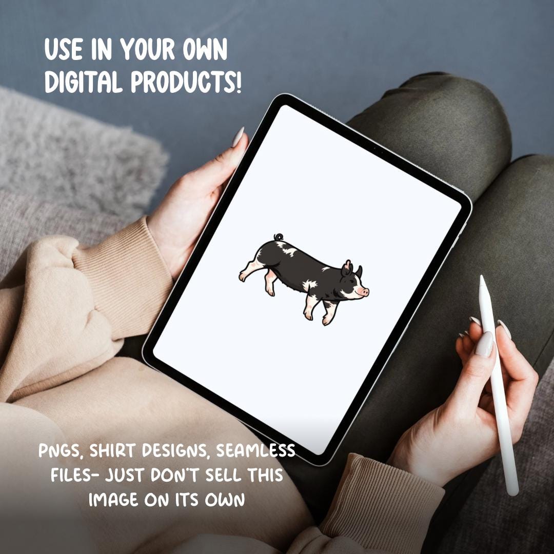 Berkshire Show Pig Clipart PNG | 4H Livestock Illustration | Swine Graphic | Sublimation Design | Transparent Background
