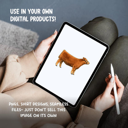 Show Heifer Clipart PNG | 4H Livestock Illustration | Cattle Graphic | Sublimation Design | Transparent Background