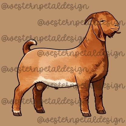 Boer Goat Clipart PNG | 4H Livestock Illustration | Show Goat Graphic | Sublimation Design | Transparent Background