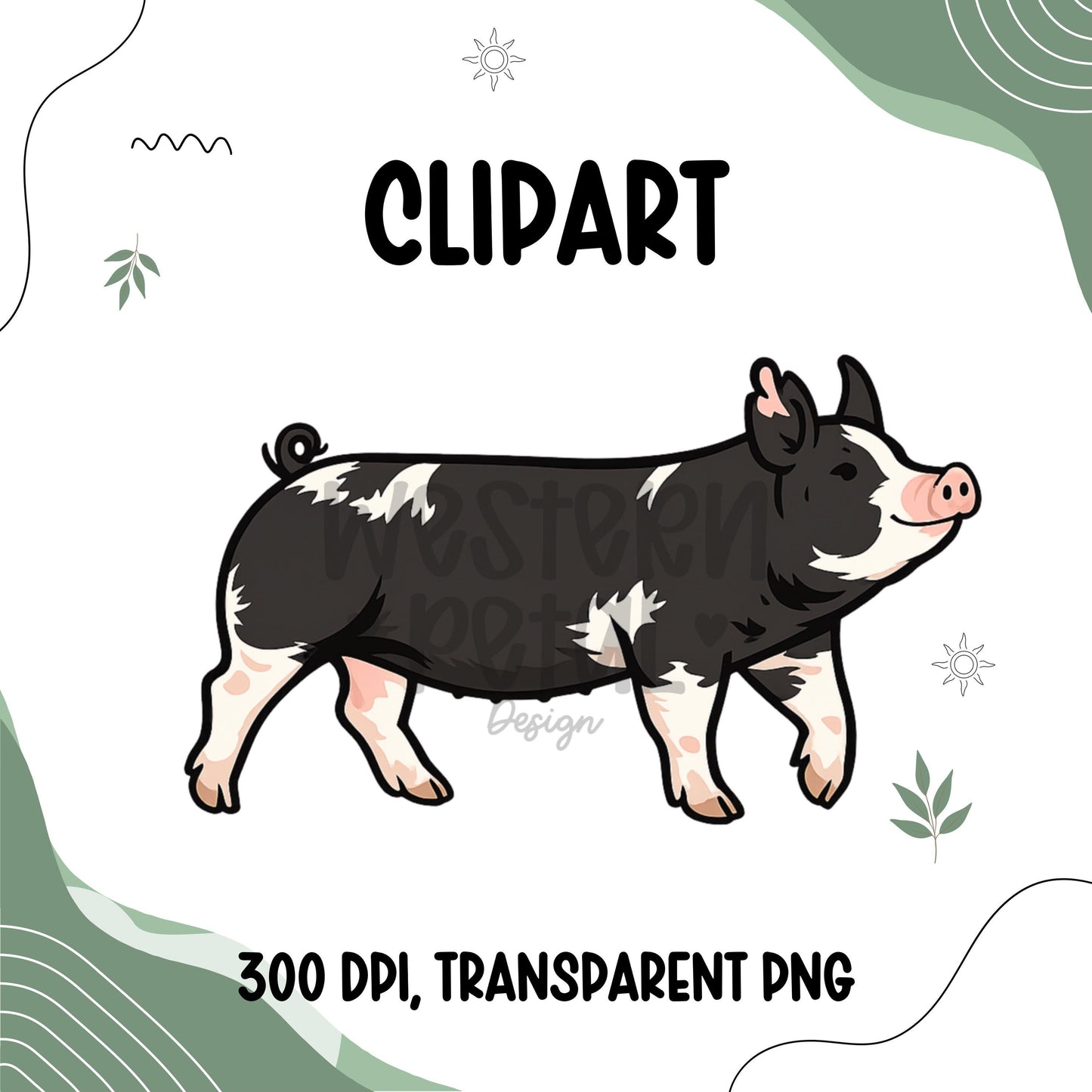 Berkshire Show Pig Clipart PNG | 4H Livestock Illustration | Swine Graphic | Sublimation Design | Transparent Background