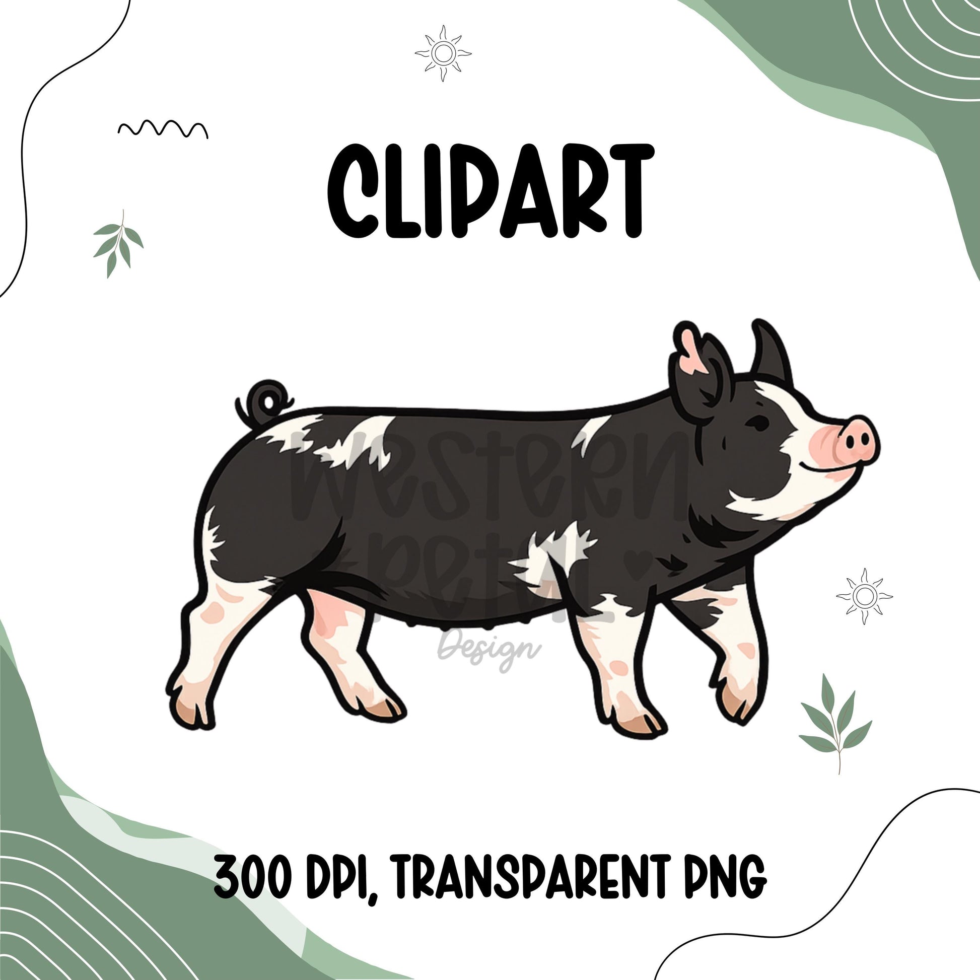 Berkshire Show Pig Clipart PNG | 4H Livestock Illustration | Swine Graphic | Sublimation Design | Transparent Background