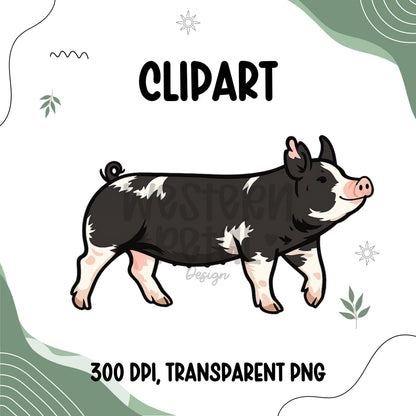 Berkshire Show Pig Clipart PNG | 4H Livestock Illustration | Swine Graphic | Sublimation Design | Transparent Background
