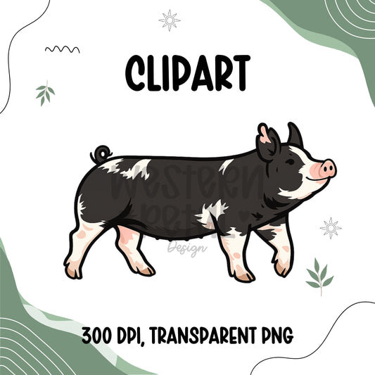 Berkshire Show Pig Clipart PNG | 4H Livestock Illustration | Swine Graphic | Sublimation Design | Transparent Background