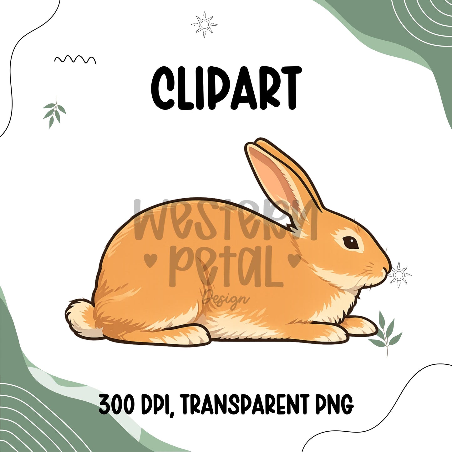Show Bunny Clipart Bundle, Farm Animal PNG Graphics (Digital Download)