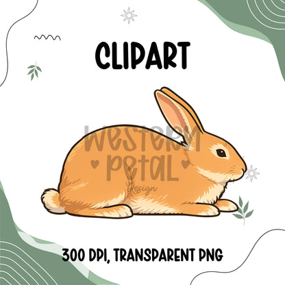 Show Bunny Clipart Bundle, Farm Animal PNG Graphics (Digital Download)