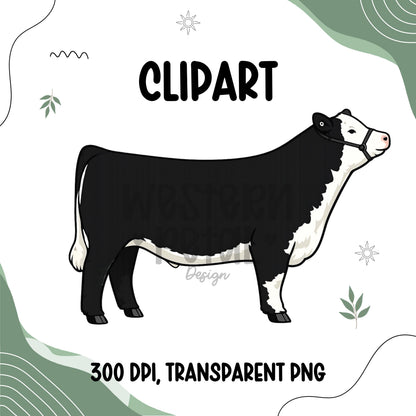 Show Steer Clipart Bundle, Farm Animal PNG Graphics (300 DPI Transparent)