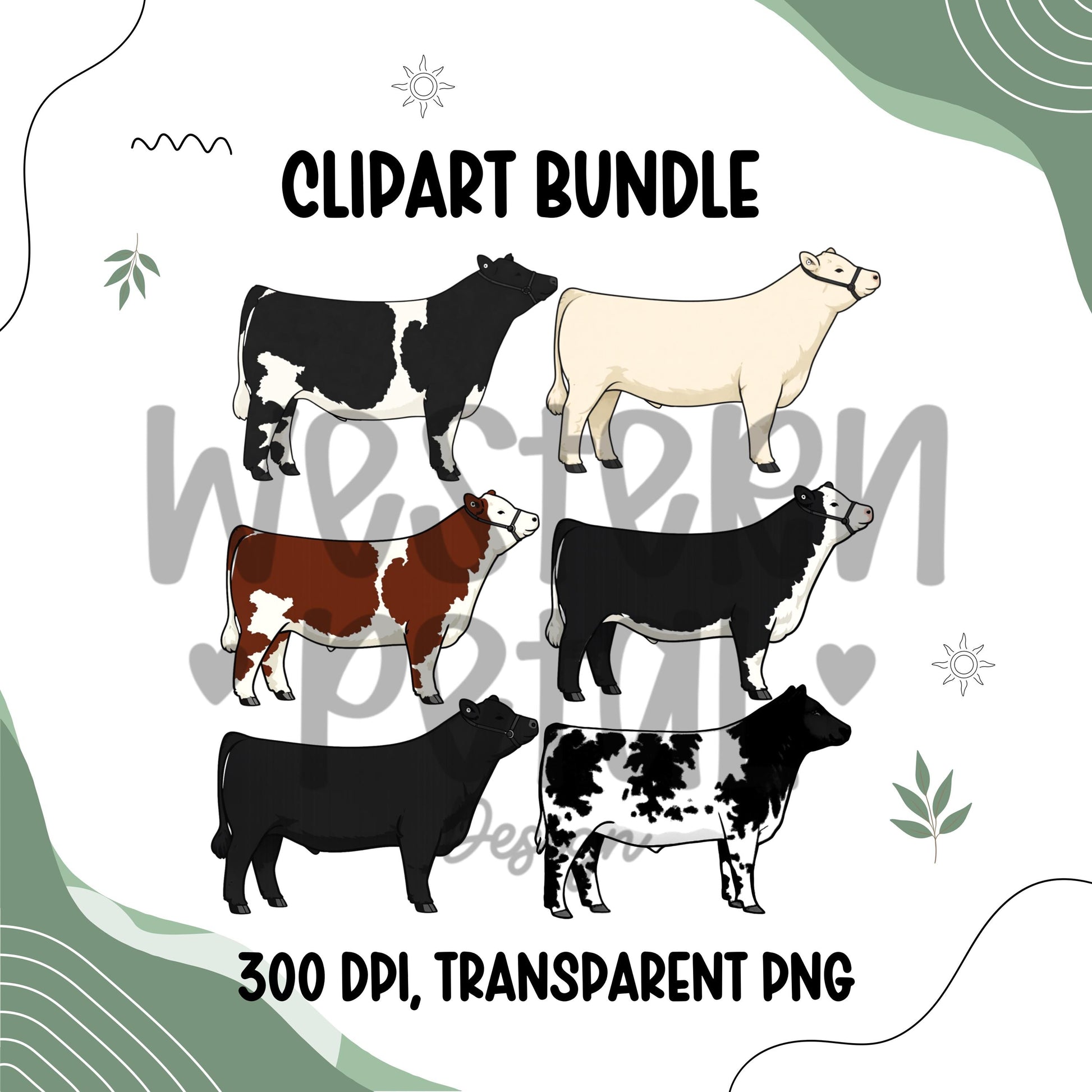 Beef cattle clipart bundle featuring six show steer and beef cow illustrations in different coat colors, farm animal livestock PNG files with transparent backgrounds for 4H and ranch designs
