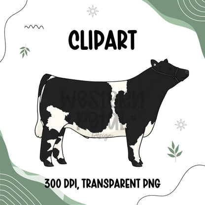 Show Steer Clipart Bundle, Farm Animal PNG Graphics (300 DPI Transparent)