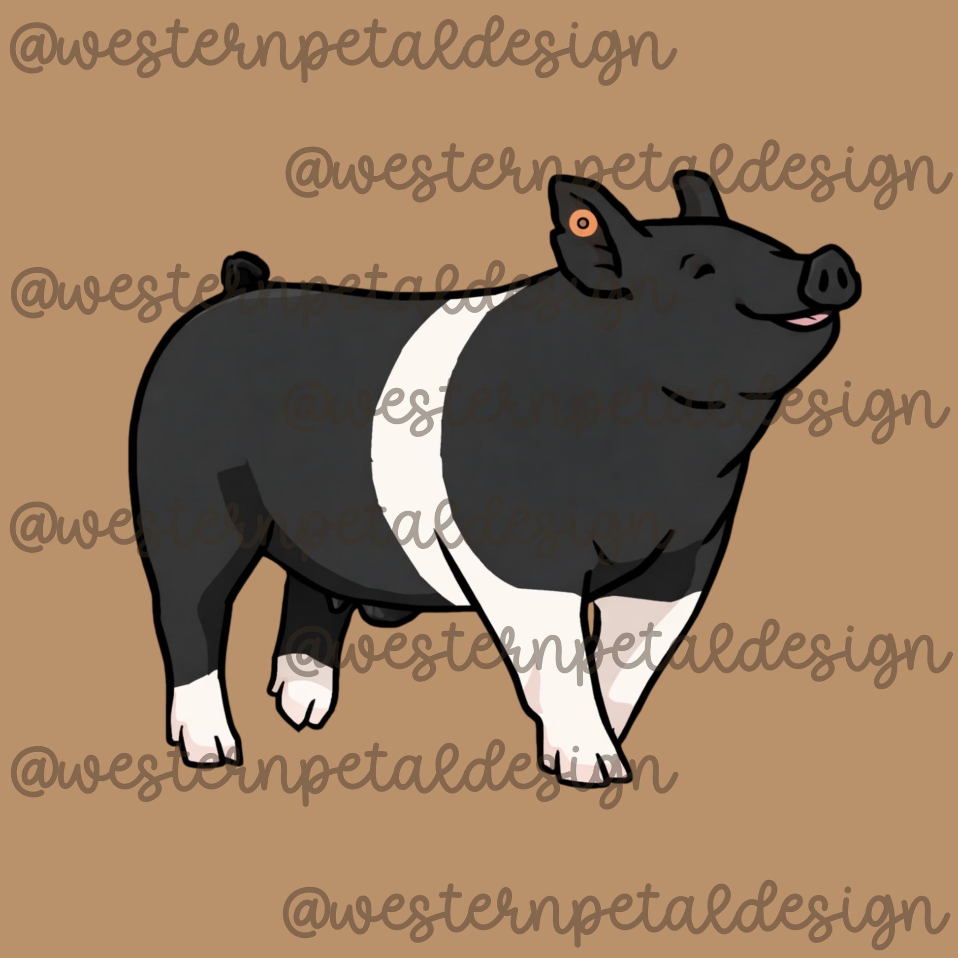 Show Pig Hampshire Clipart PNG | 4H Livestock Illustration | Swine Graphic | Sublimation Design | Transparent Background