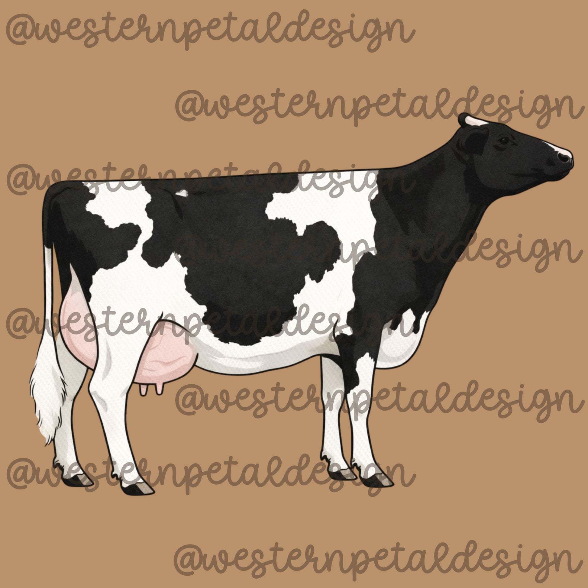 Holstein Cow Clipart | Hand-Drawn Dairy Cow PNG (300 DPI)