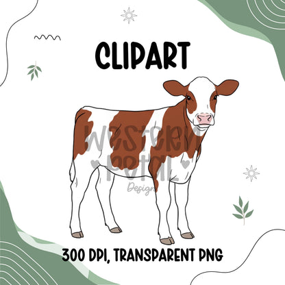 Red Holstein Calf Clipart PNG | Baby Cow Illustration | 300 DPI Transparent PNG