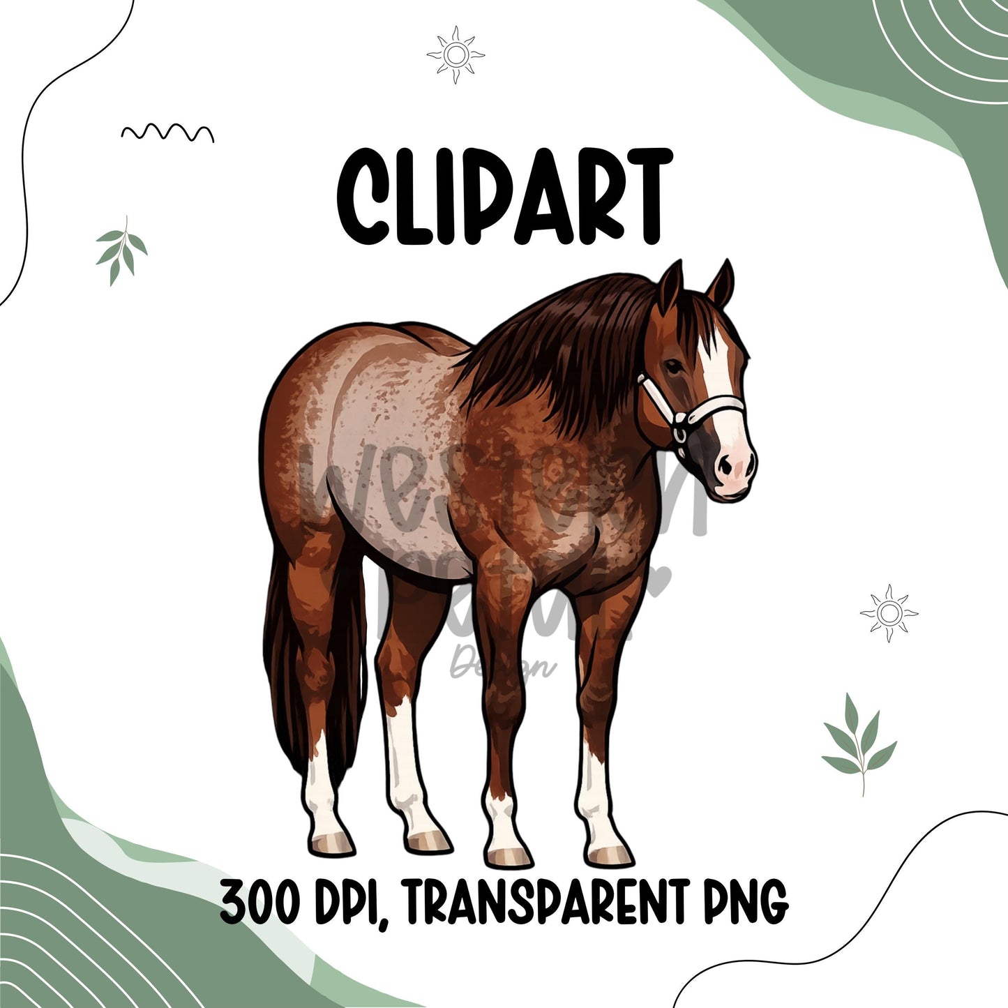 Quarter Horse Clipart Bundle | Western Illustration (PNG Digital Download)