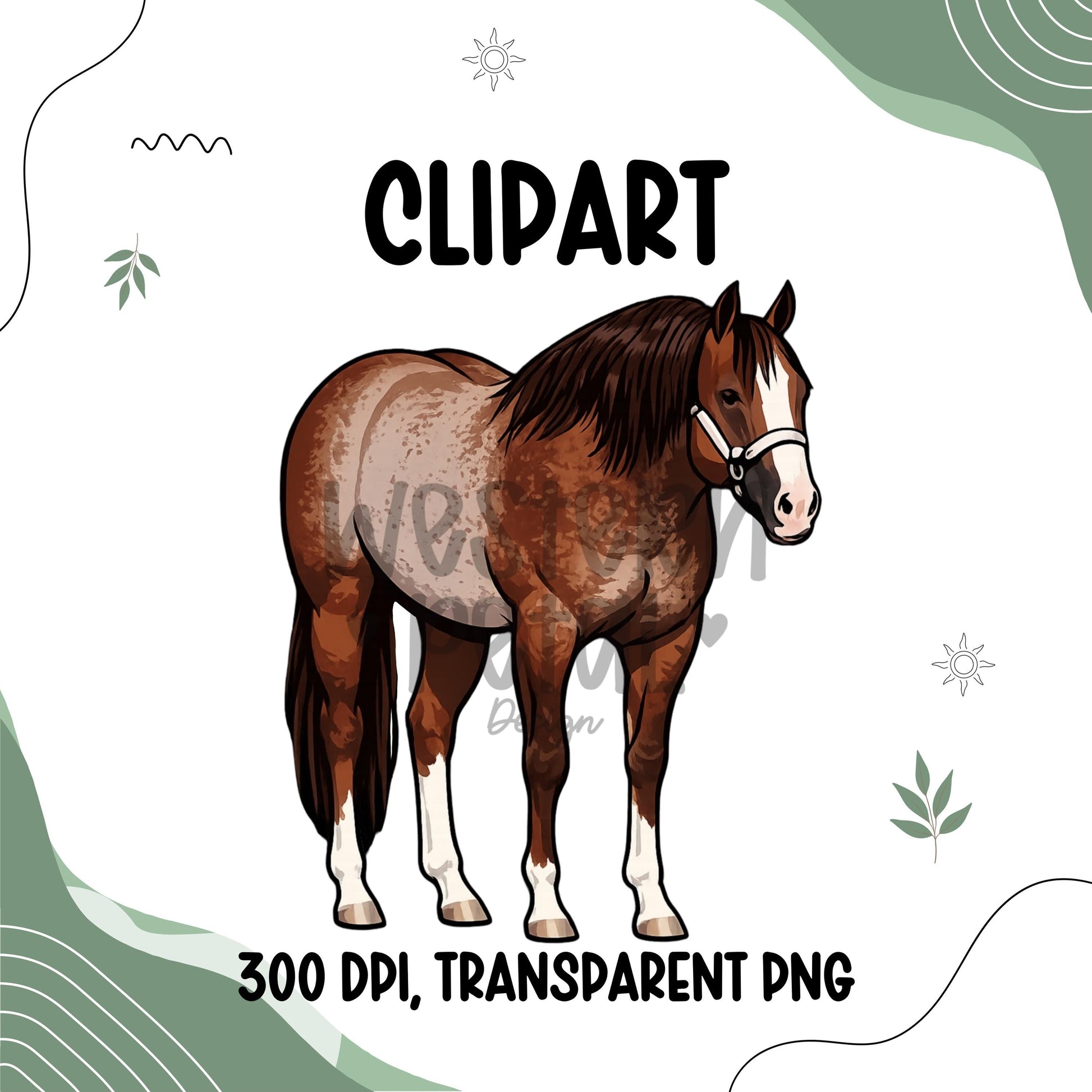 Quarter Horse Clipart Bundle | Western Illustration (PNG Digital Download)