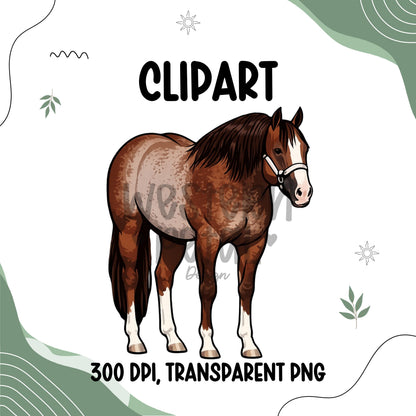 Quarter Horse Clipart Bundle | Western Illustration (PNG Digital Download)