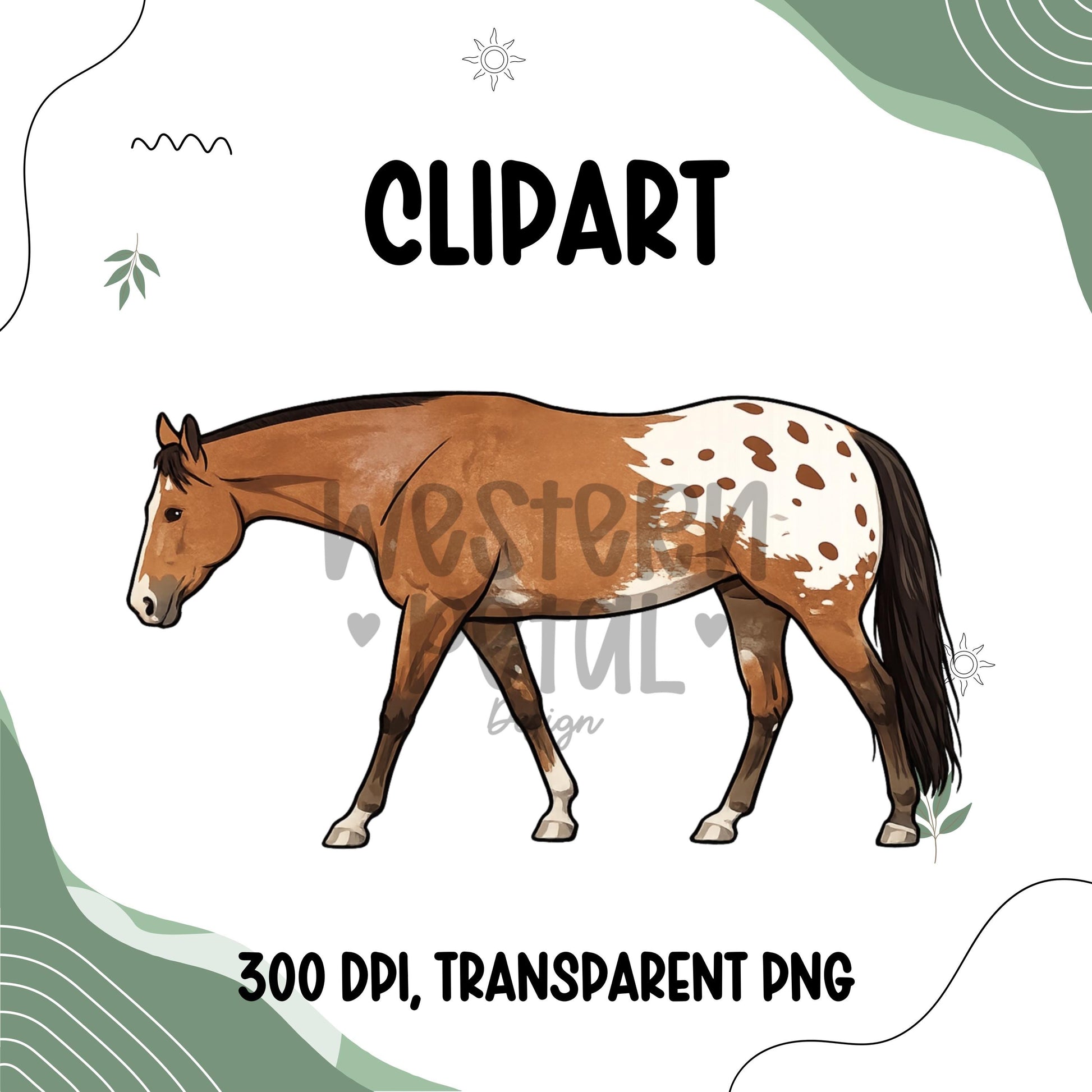 Appaloosa Horse Clipart PNG | Walking Horse Illustration | 300 DPI Transparent PNG