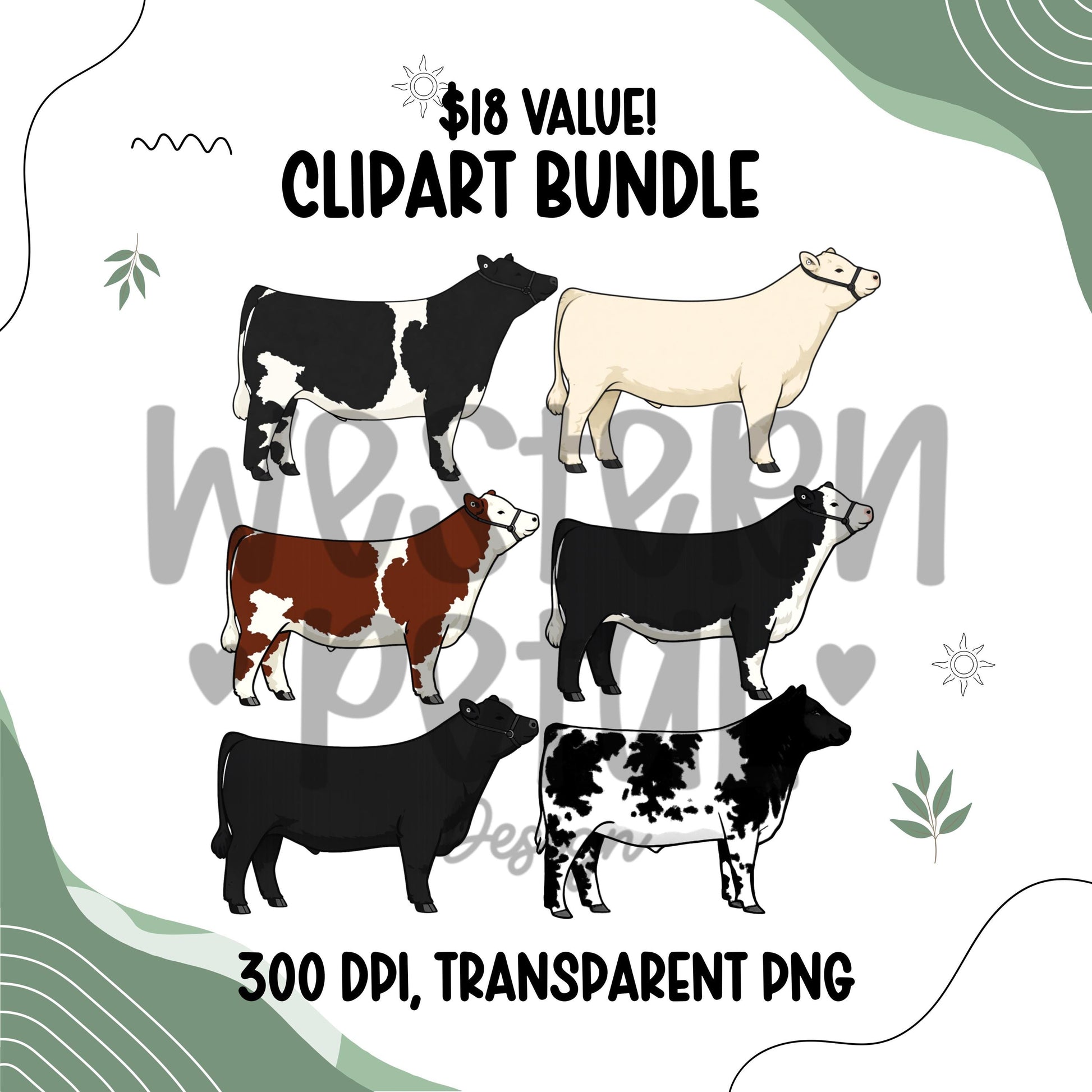Show Steer Clipart Bundle, Farm Animal PNG Graphics (300 DPI Transparent)