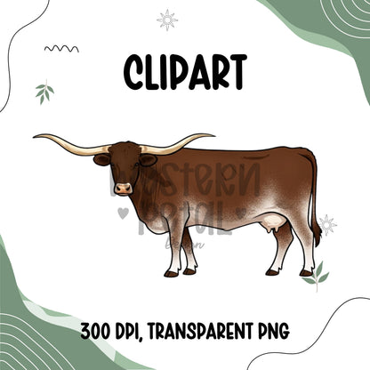 Longhorn Cow Clipart PNG Bundle Set | Side View Cattle Illustration | 300 DPI Transparent PNG