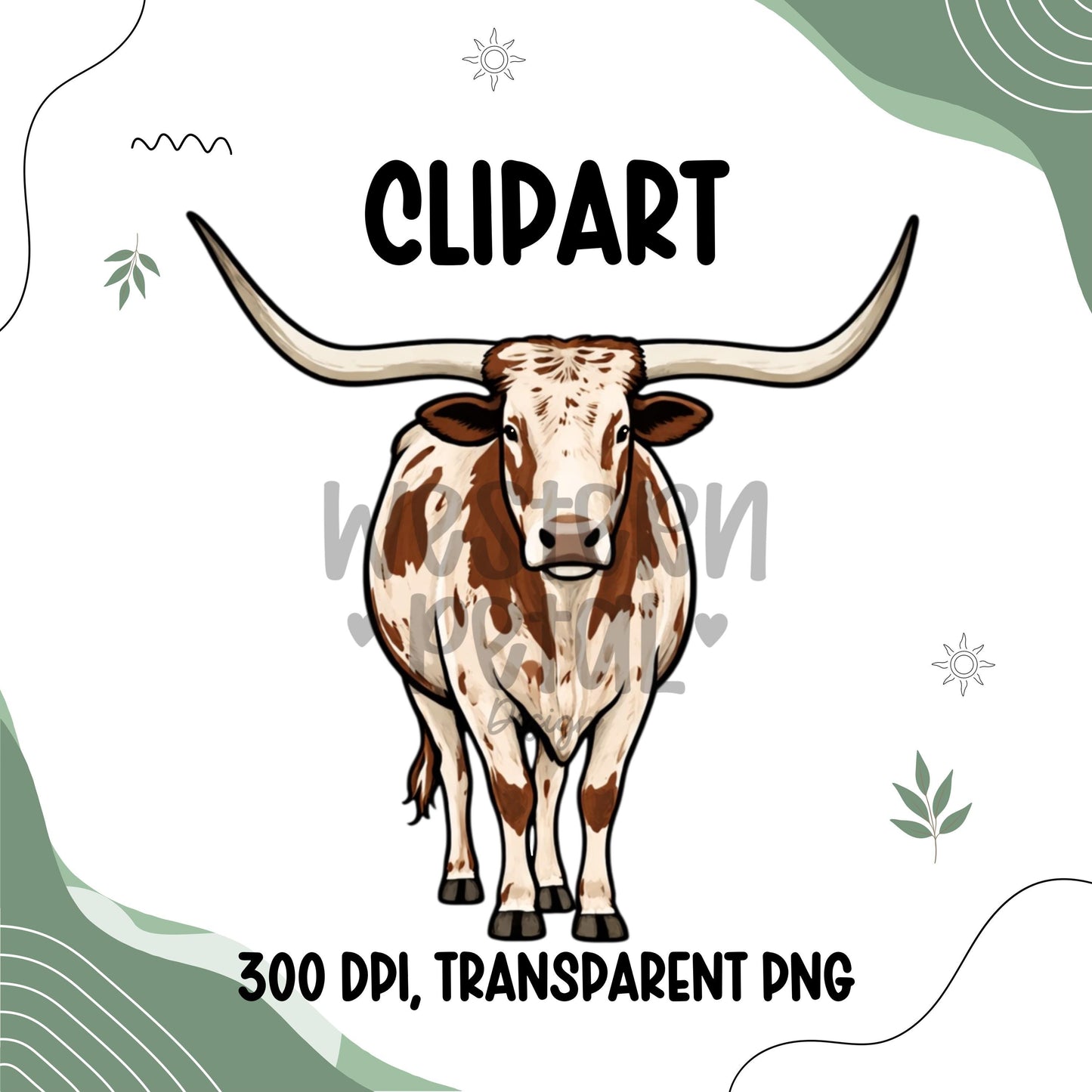Longhorn Cow Clipart PNG Bundle Set | Front Facing Cattle Illustration | 300 DPI Transparent PNG