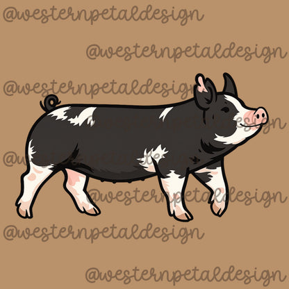 Berkshire Show Pig Clipart PNG | 4H Livestock Illustration | Swine Graphic | Sublimation Design | Transparent Background