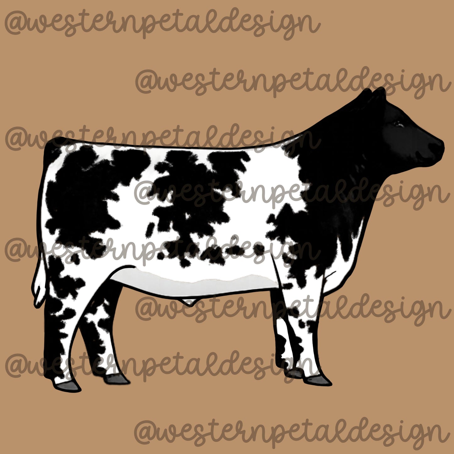 Shorthorn Steer Clipart PNG | 4H Livestock Illustration | Cattle Graphic | Sublimation Design | Transparent Background