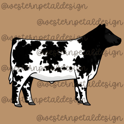 Shorthorn Steer Clipart PNG | 4H Livestock Illustration | Cattle Graphic | Sublimation Design | Transparent Background