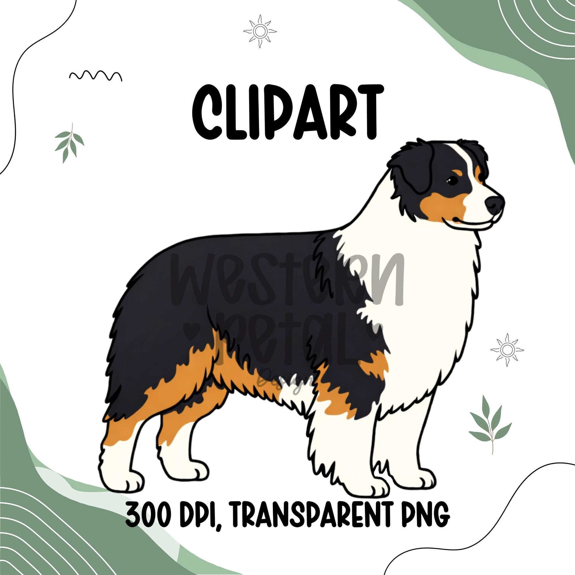 Australian Shepherd Clipart PNG | Aussie Dog Illustration | 300 DPI Transparent PNG