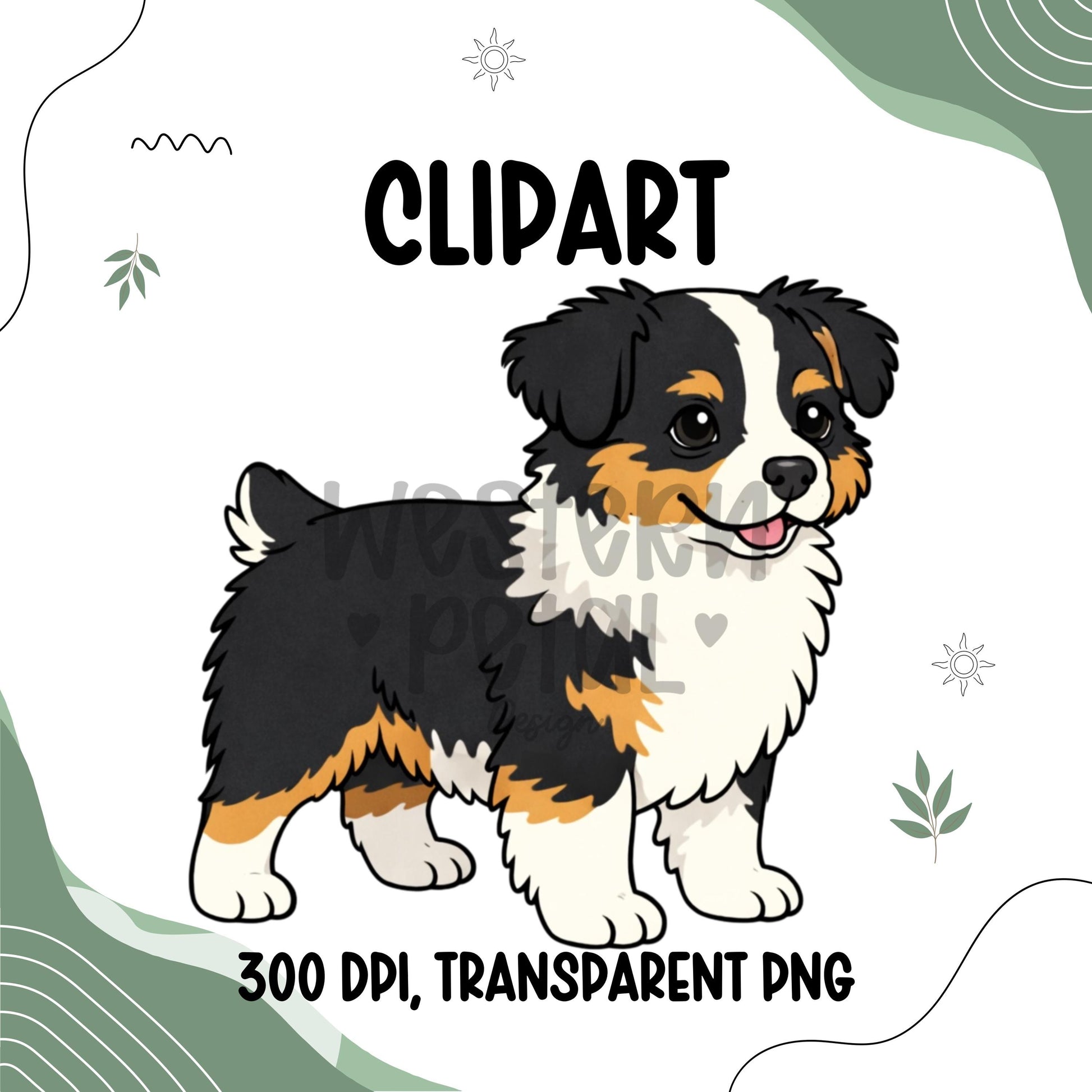 Mini Australian Shepherd puppy clipart with fluffy fur and blue eyes, cute dog illustration, transparent background digital download
