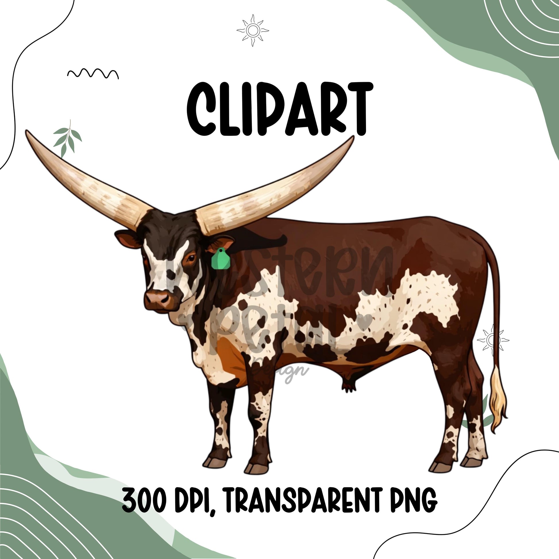 Watusi steer clipart PNG with large long horns and brown white markings, transparent background western cattle design