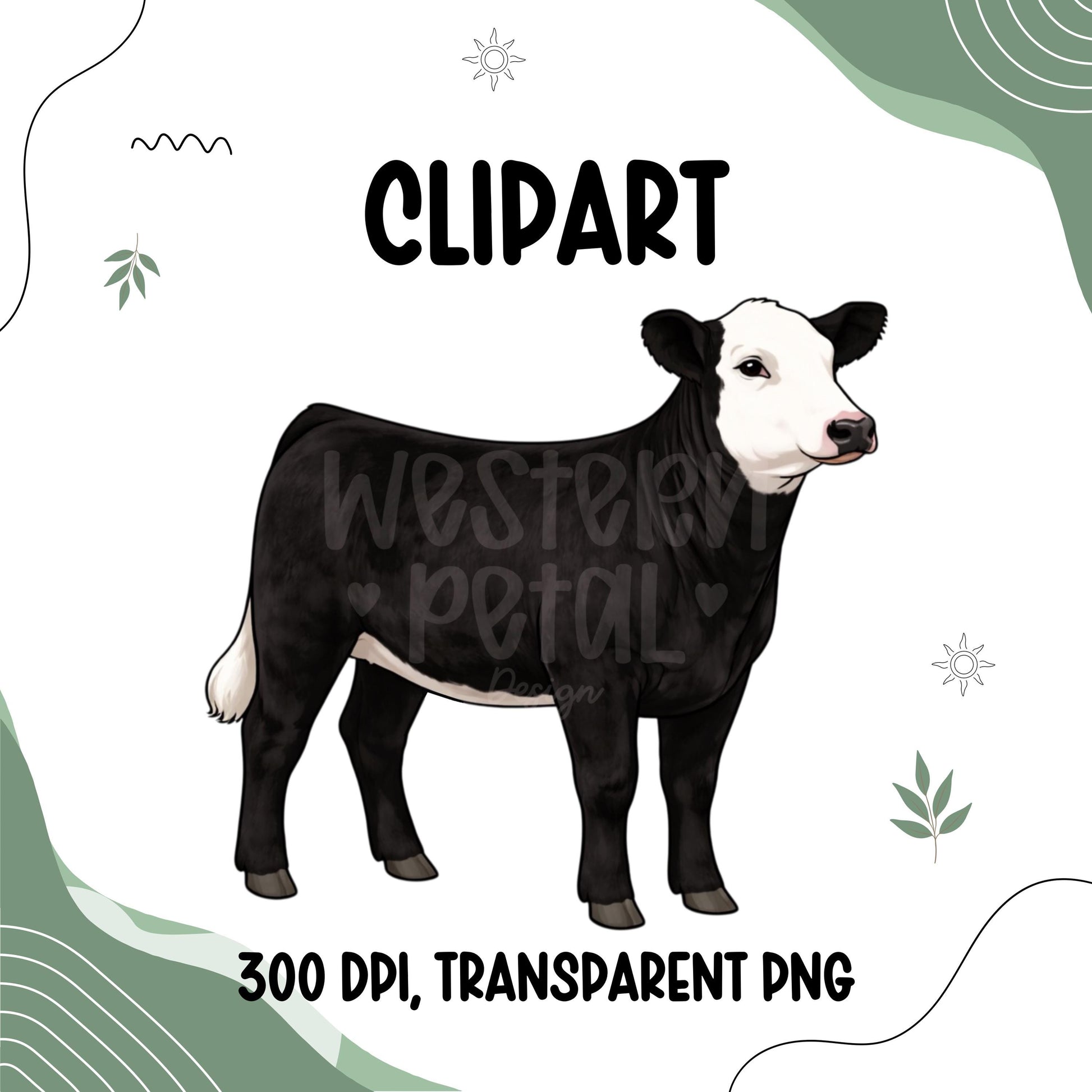 Show Heifer Clipart Bundle PNG | Cattle Color Variations | 4H Livestock Digital Download